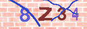 キャプチャ画像