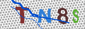 キャプチャ画像