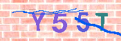 キャプチャ画像