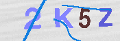 キャプチャ画像