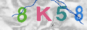 キャプチャ画像