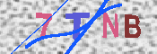 キャプチャ画像