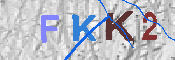 キャプチャ画像