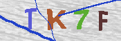 キャプチャ画像