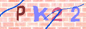 キャプチャ画像