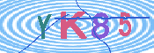 キャプチャ画像