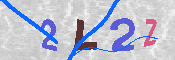 キャプチャ画像
