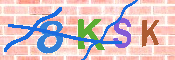 キャプチャ画像