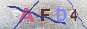 キャプチャ画像