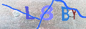 キャプチャ画像