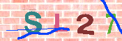 キャプチャ画像