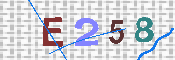 キャプチャ画像