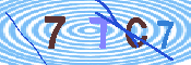 キャプチャ画像