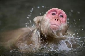 u=199463293,2624831669&fm=21&gp=0