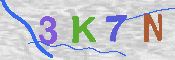 キャプチャ画像