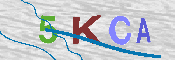 キャプチャ画像