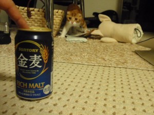 294993_231544403610587_100002650871432_419103_164076518_n