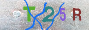 キャプチャ画像