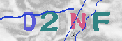 キャプチャ画像
