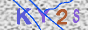 キャプチャ画像