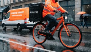 domestic-courier-express-and-parcel