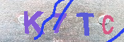 キャプチャ画像