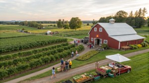 agritourism-