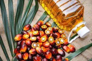 Japan Palm Oil Market