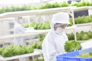 Japan Green Technology and Sustainability Market