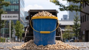 japan-wood-pellet-market