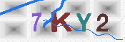 キャプチャ画像