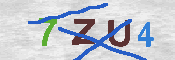 キャプチャ画像