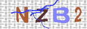 キャプチャ画像