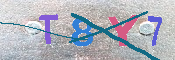 キャプチャ画像