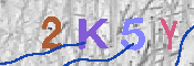 キャプチャ画像