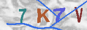 キャプチャ画像