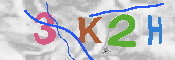 キャプチャ画像