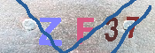 キャプチャ画像