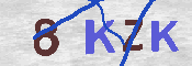 キャプチャ画像