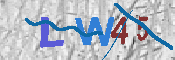 キャプチャ画像