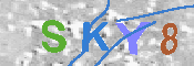 キャプチャ画像