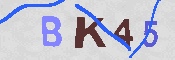 キャプチャ画像