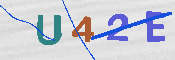 キャプチャ画像