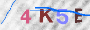 キャプチャ画像
