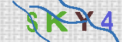 キャプチャ画像