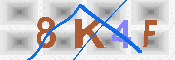 キャプチャ画像