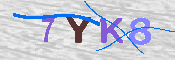 キャプチャ画像