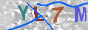 キャプチャ画像