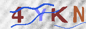 キャプチャ画像