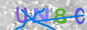 キャプチャ画像